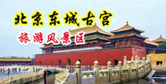 欧美舔阴帝图片中国北京-东城古宫旅游风景区